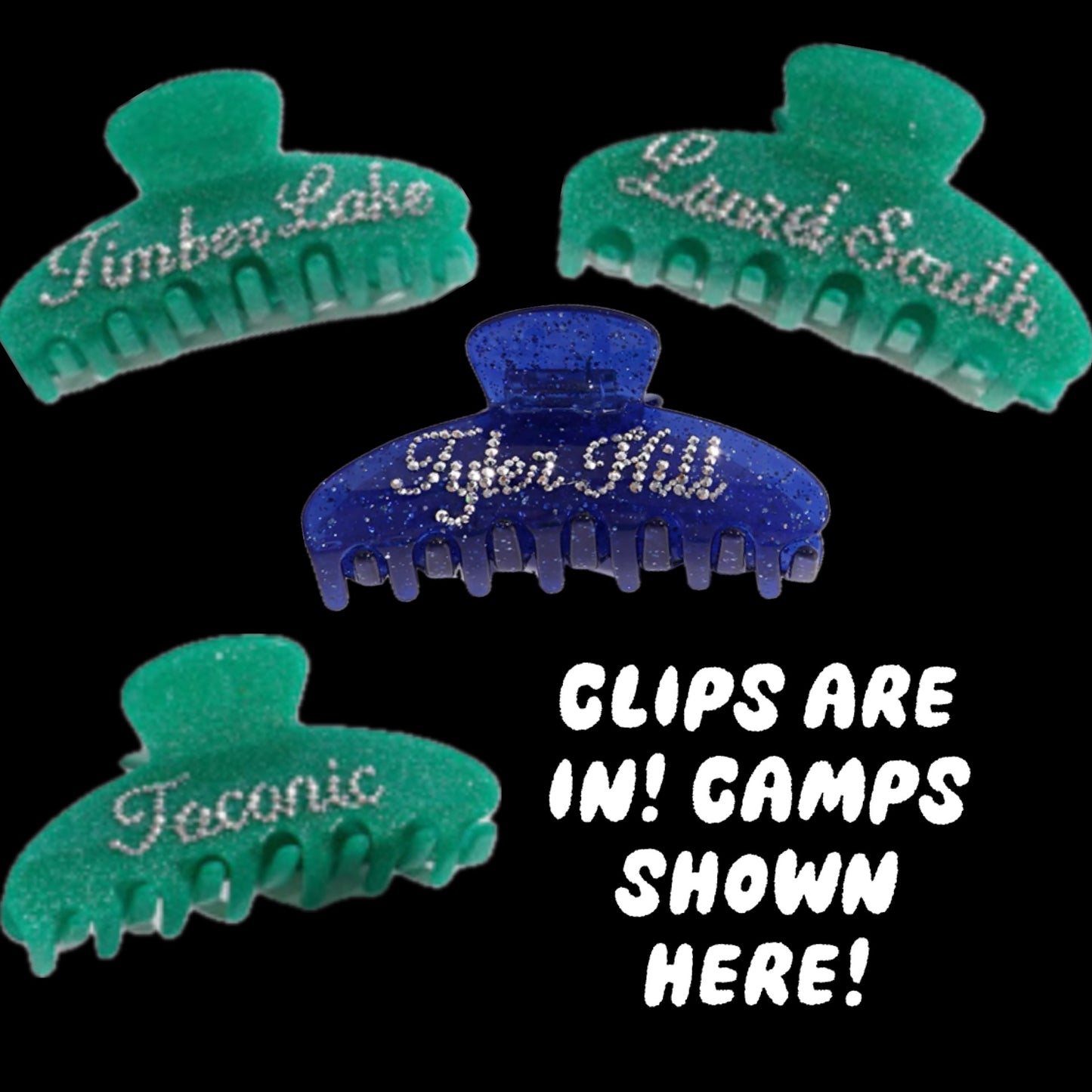 Bedazzled Hair Clip
