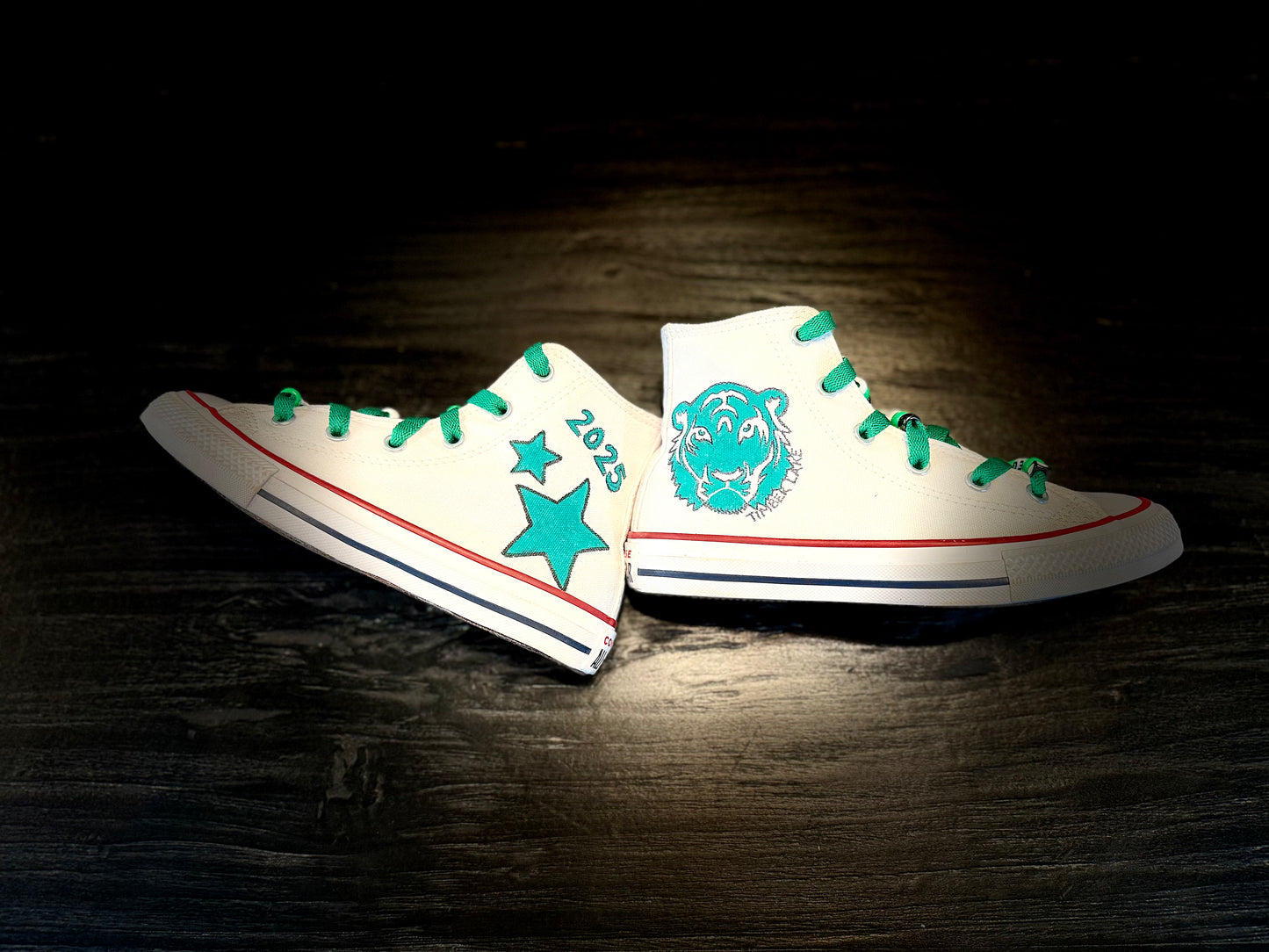 Hand painted Custom Sneakers