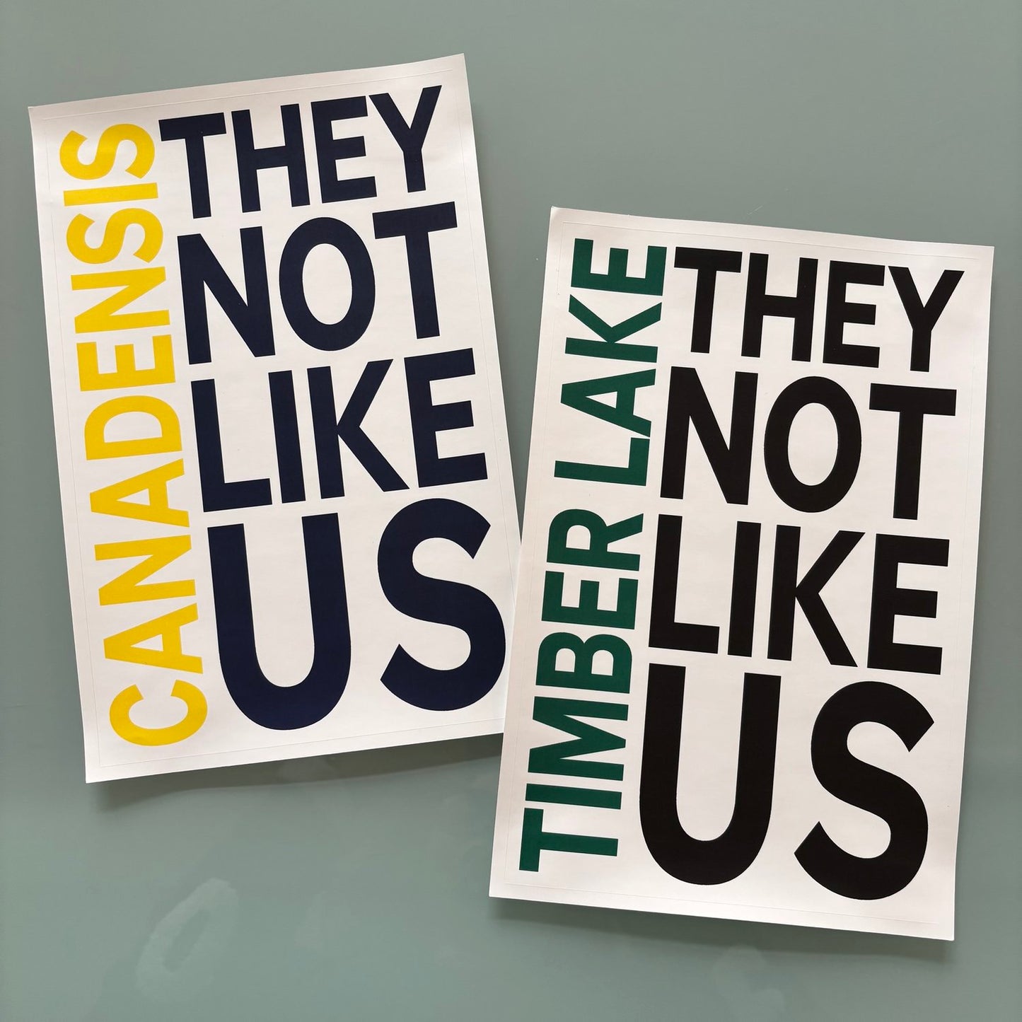They Not Like Us Vinyl Sticker